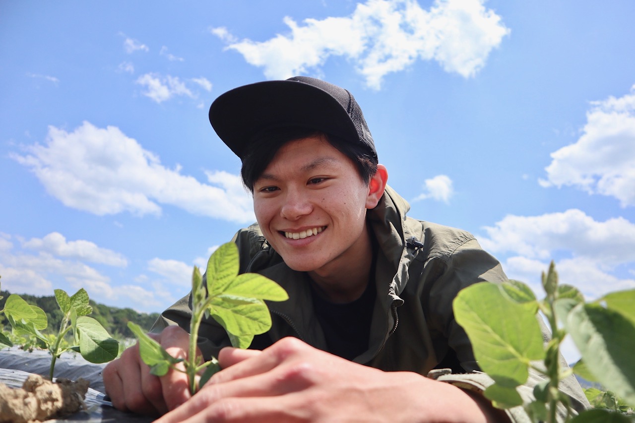 大坂さん黒大豆播種