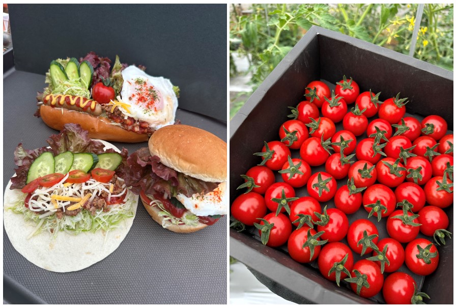 ベジーデプラスの画像