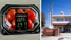 エコリカル写真