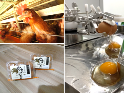 R5カンナンファーム