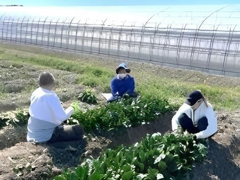 01_就労支援よつば