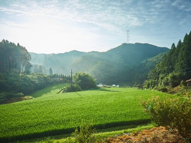 05_株式会社Local PR Plan