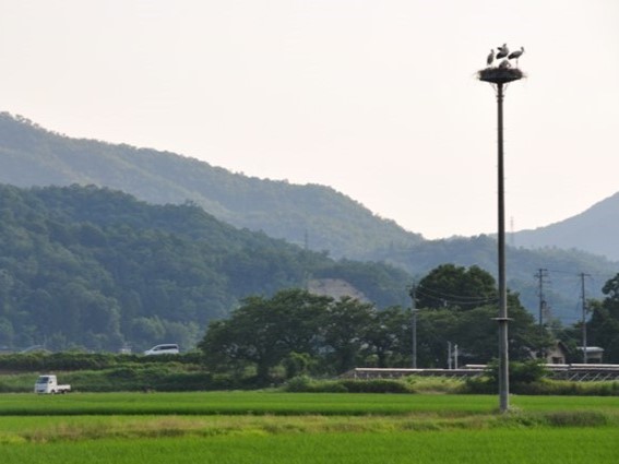 R7_06_AGRESTART株式会社