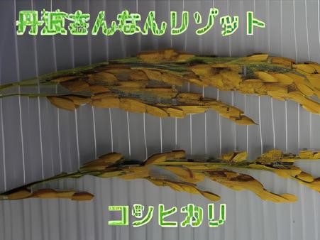 R7_12_農産物加工協会