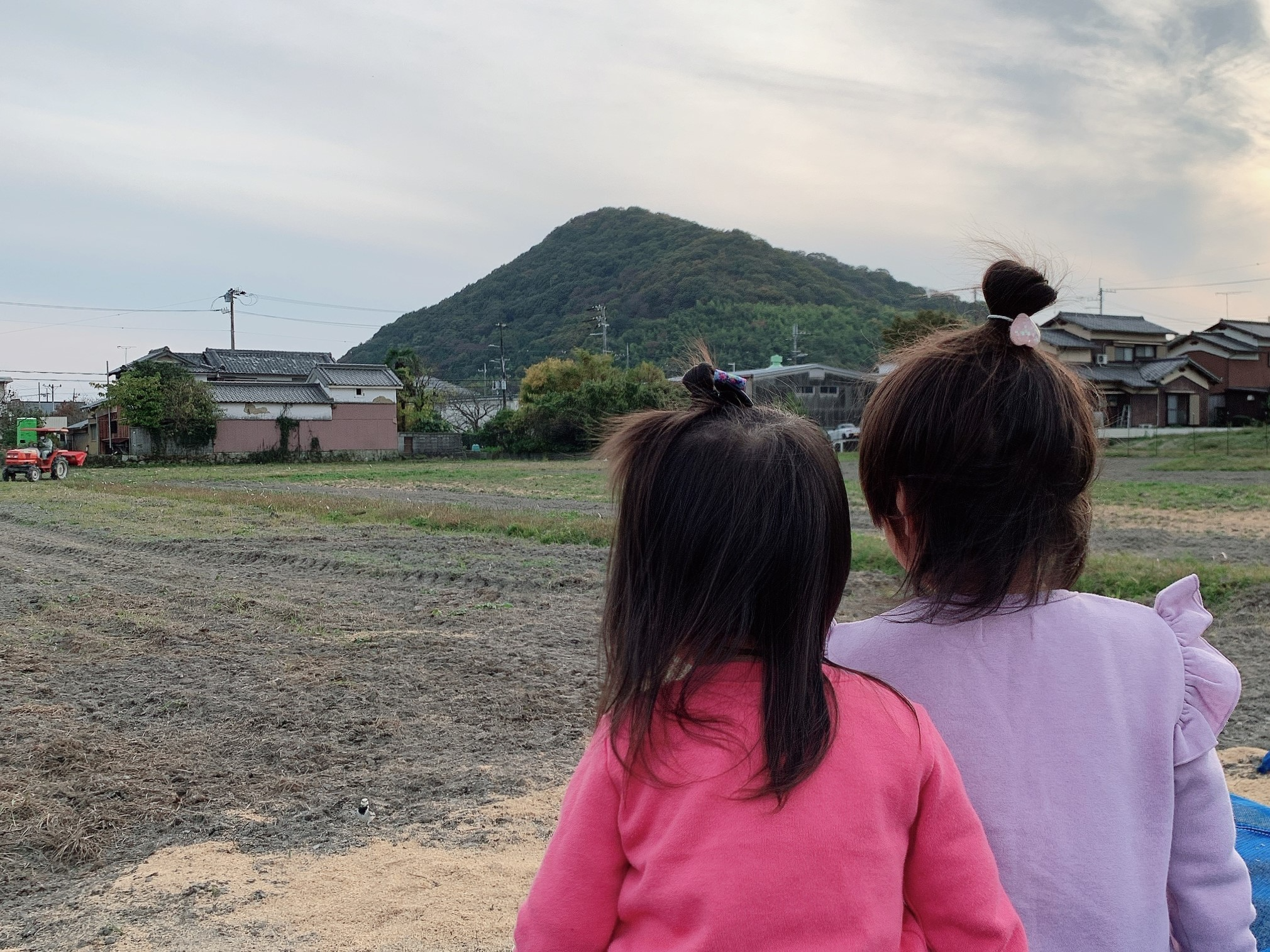 ことぶきファーム