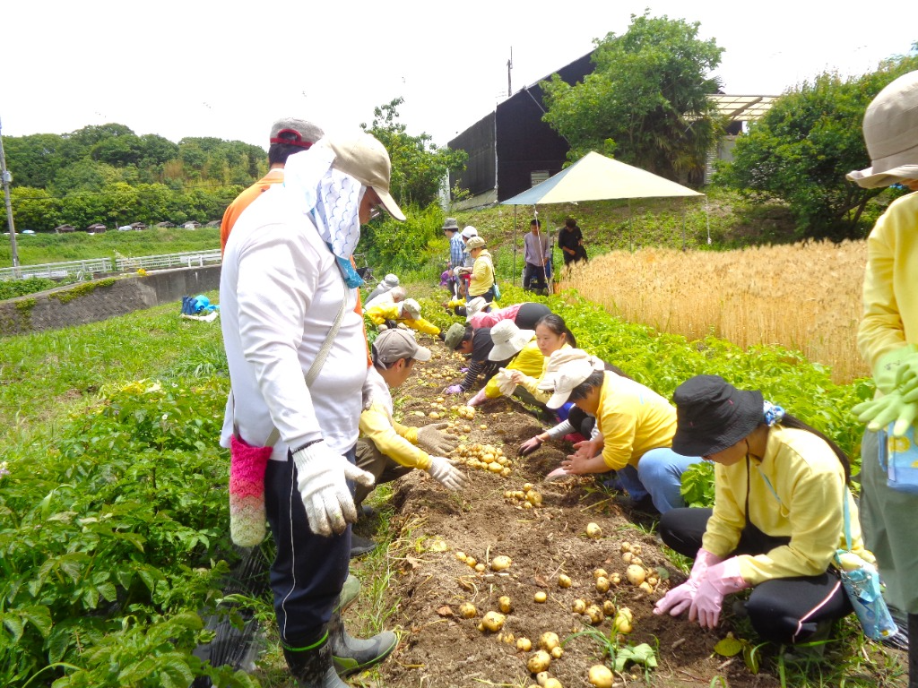 社会福祉法人たんぽぽ