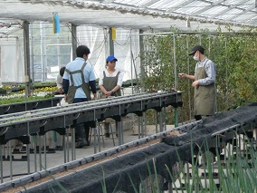 花卉園芸長谷川の写真