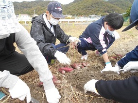 書写ひまわりホーム