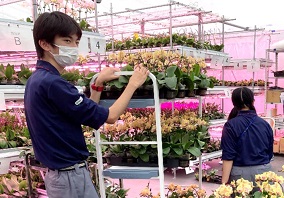 大和ハウスブルーム株式会社の画像