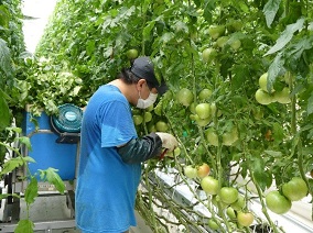 ゆめファーム兵庫六甲はぜたにの写真