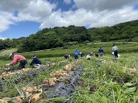 上野丘さつき会