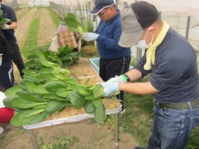 赤穂市立さくら園