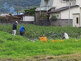 NPO法人ラーフウッド