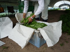 アグリハイランド金谷