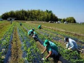 NPO法人アゲイン