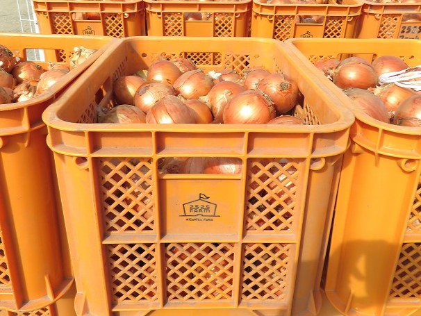 2525ファーム画像