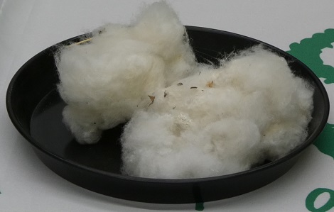 選定証授与式06