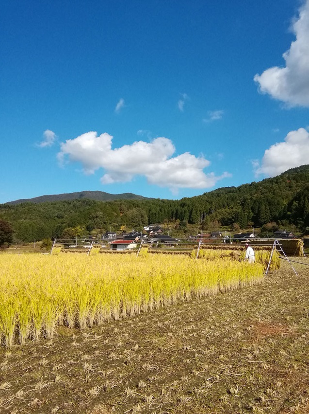 ナチュラルファーム2