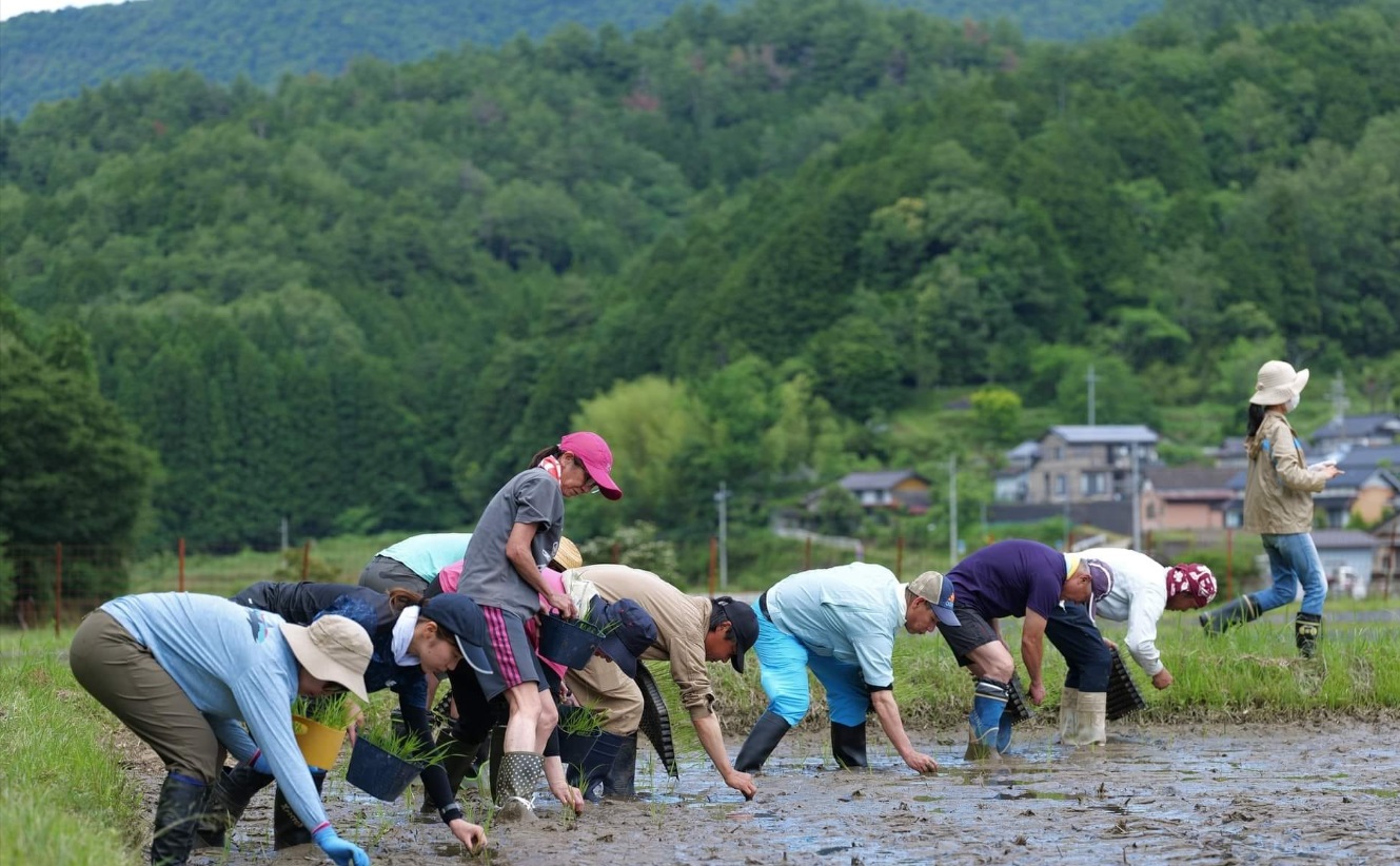 ナチュラルファーム4