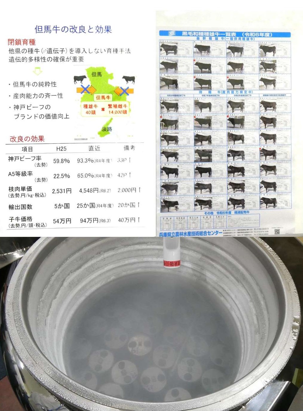 但馬牛のパネル