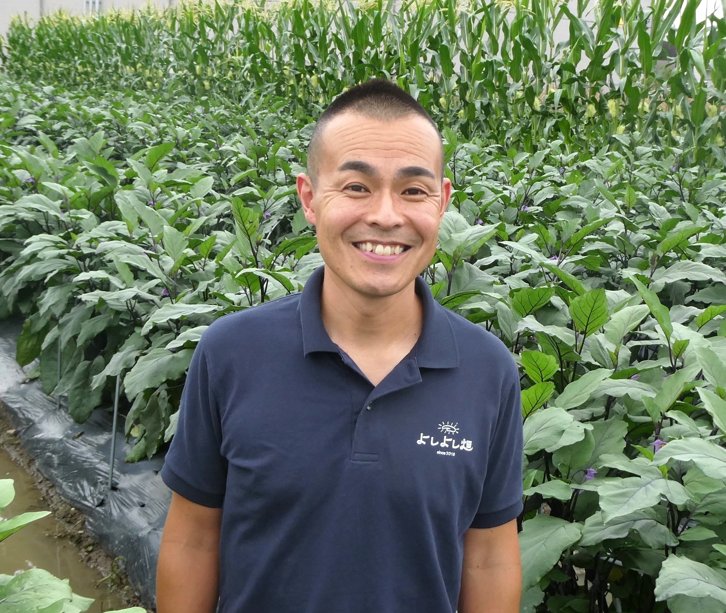 よしよし畑２