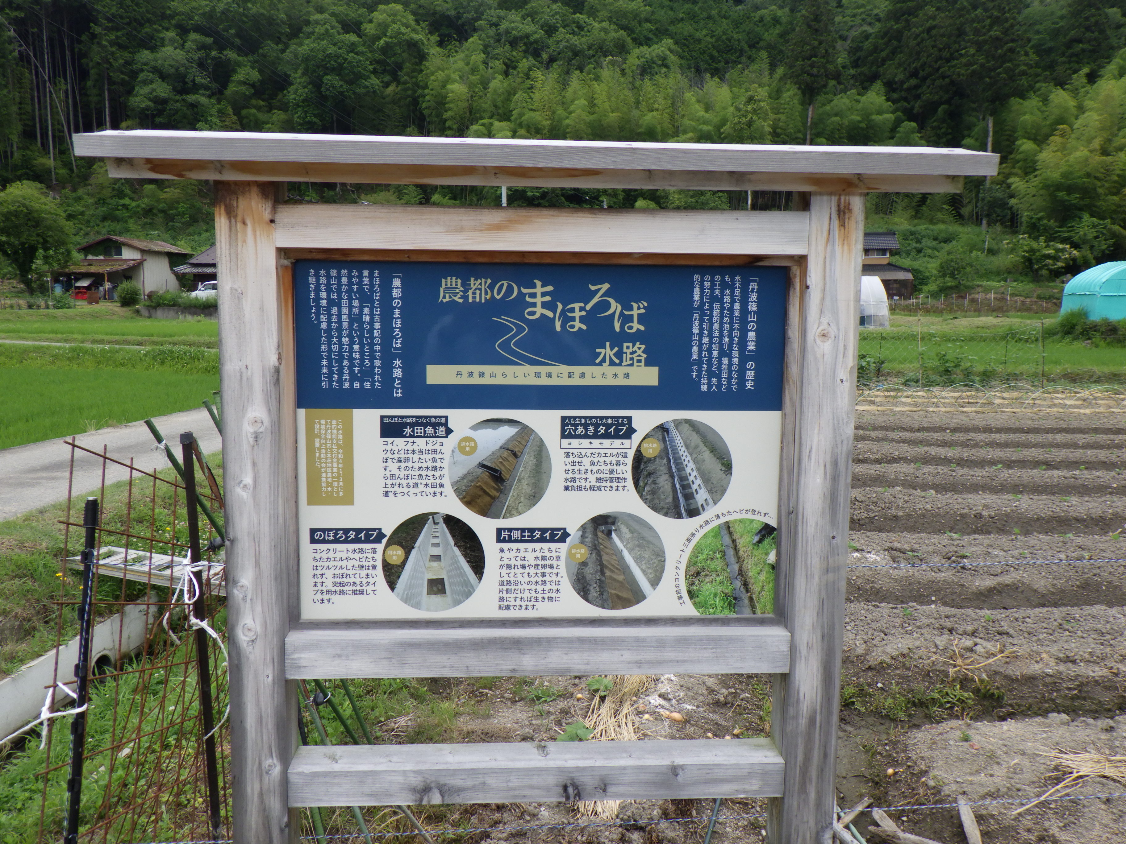 生き物豊かな水路看板
