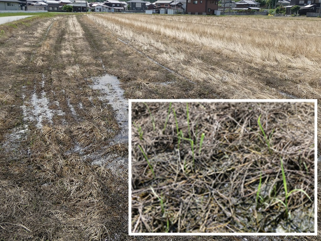 あぐりーど玉野2