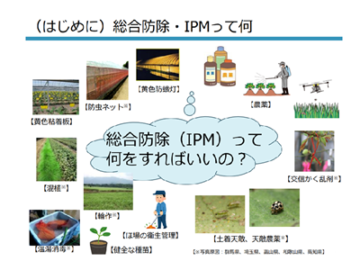IPM2