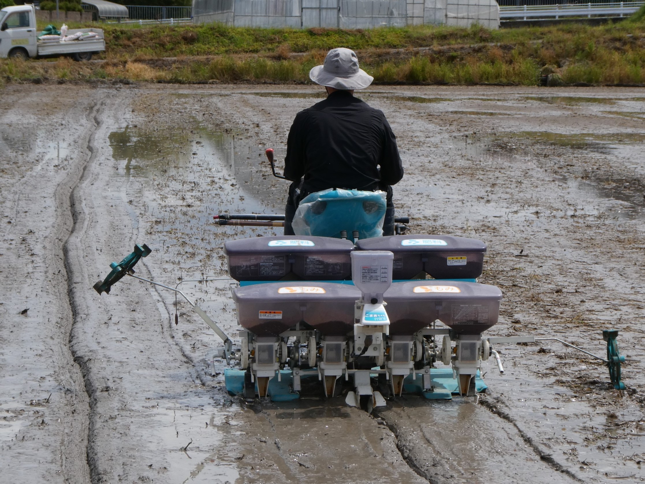 小池農園の直播