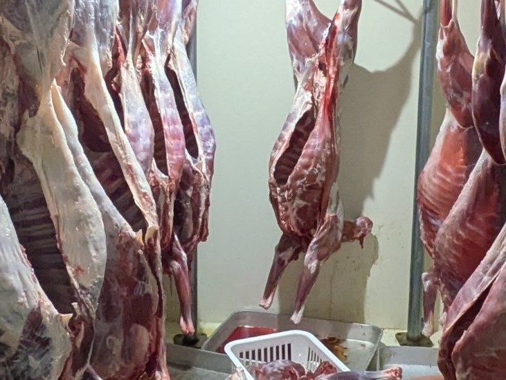 大型冷蔵庫内枝肉