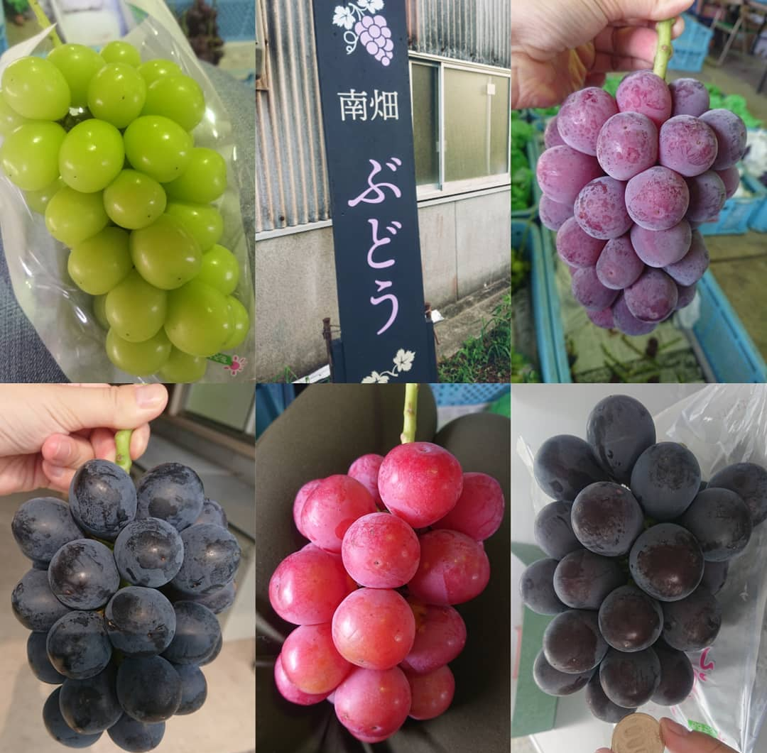 南畑いわみ農園2