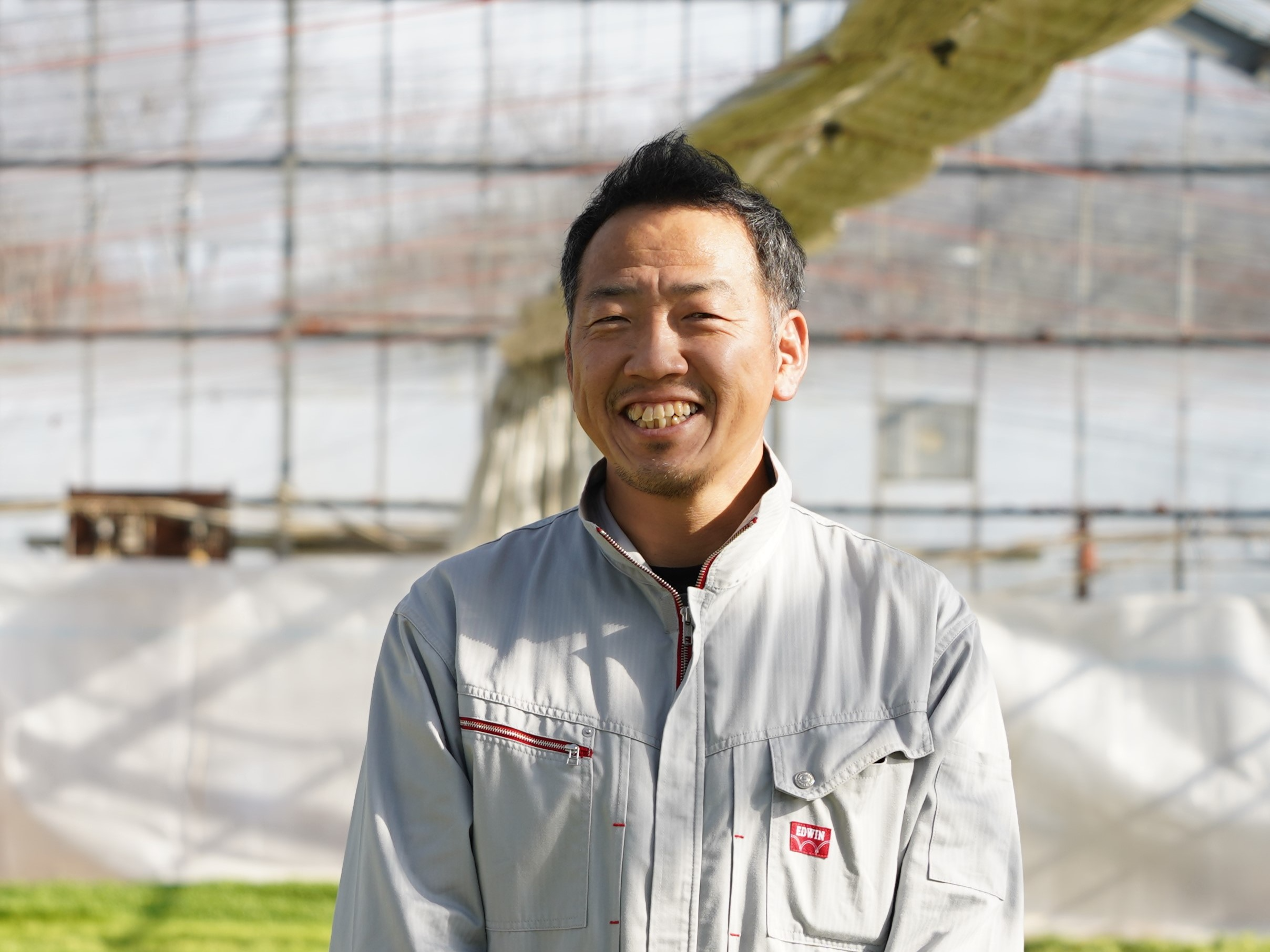 大葉のベビーリーフ“ペリーラ”の認知度を上げたい