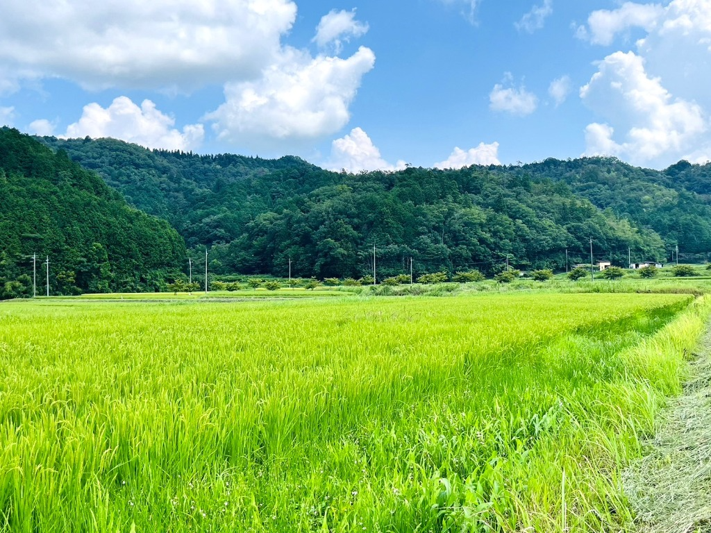 丹波篠山たけし農産2