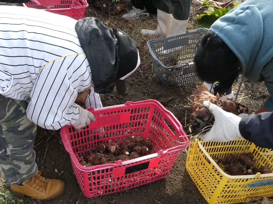 ユニバーサル農園体験3