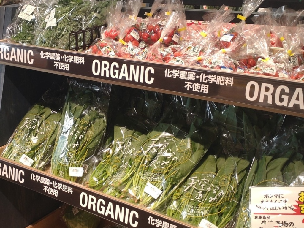 ヤマダストアー5