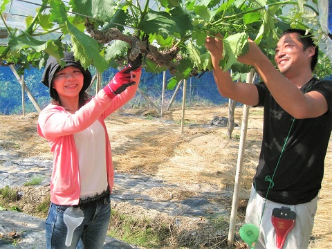 岩崎農園での夫婦
