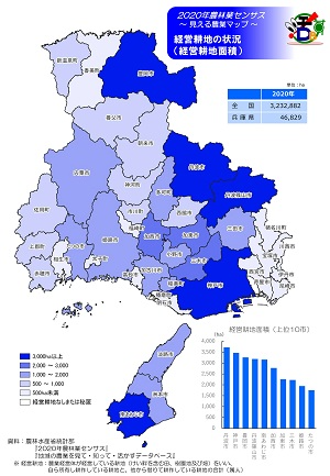 経営耕地の状況（経営耕地面積）