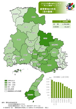 経営耕地の状況（田の面積）