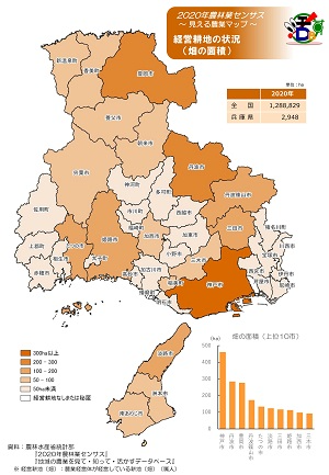経営耕地の状況（畑の面積）
