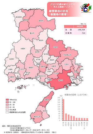 経営耕地の状況（樹園地の面積）