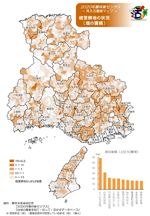 経営耕地の状況（畑の面積）