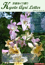 京都あぐり第95号