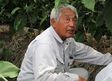 京都田辺茄子の生産をされている川嶋 一生さん