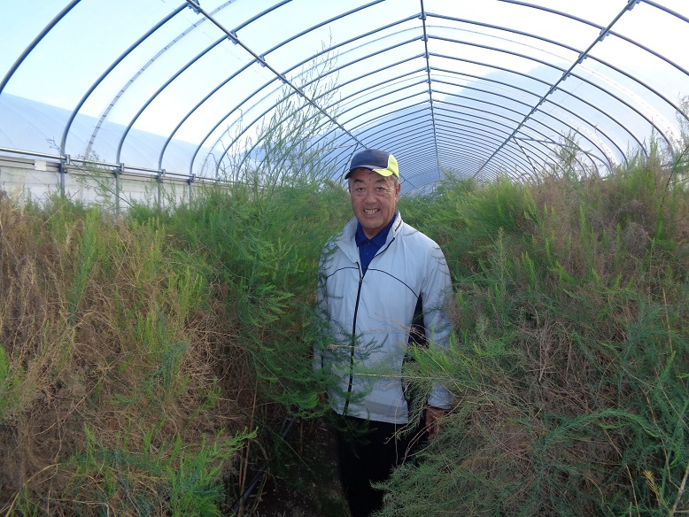 アスパラガスを地域の特産物に