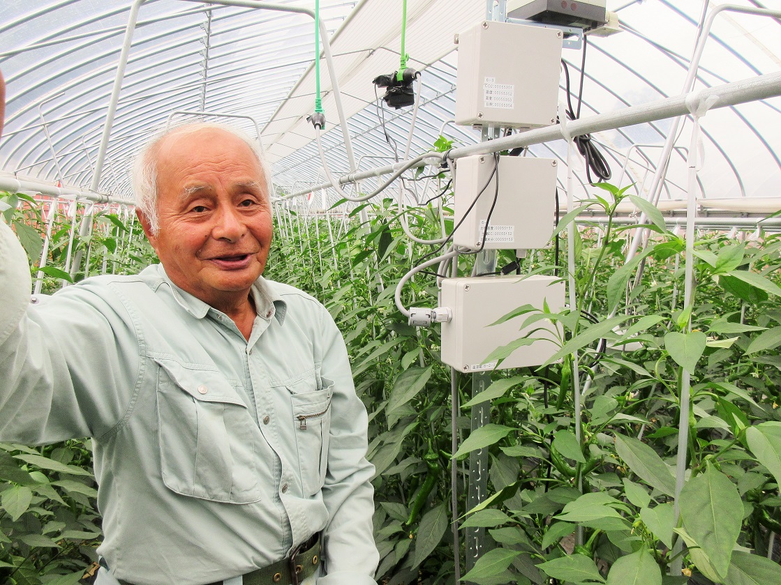 自動かん水装置を設置した施設内(細田隆夫さん)