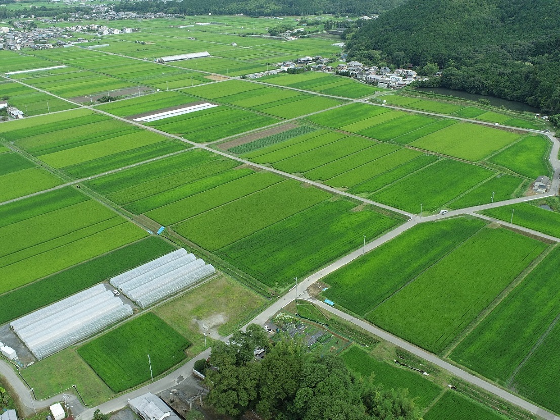 空から見た国営農地整備事業佐伯工区　左手前が佐伯農家組合のハウス（亀岡中部農地整備事業所提供）