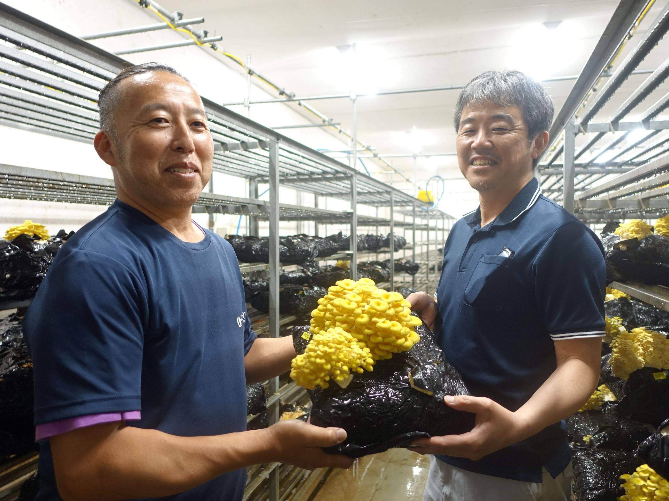 250616_ハンナリシェ01