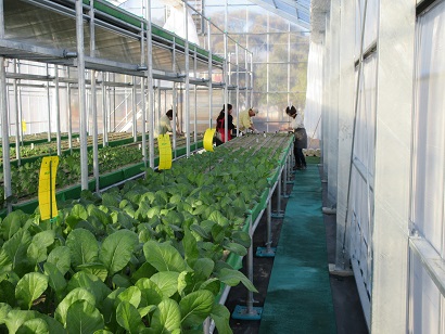 地域住民が参加する「シェアリング農業」実証の取組についてお聞きしました