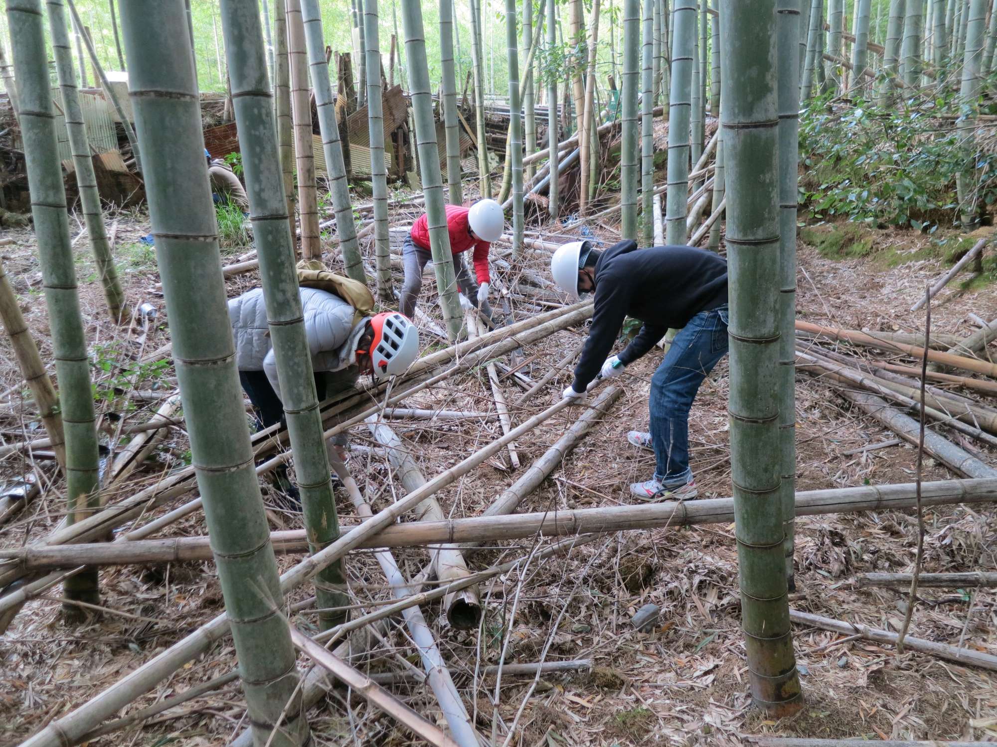 アドプランツコーポレーション