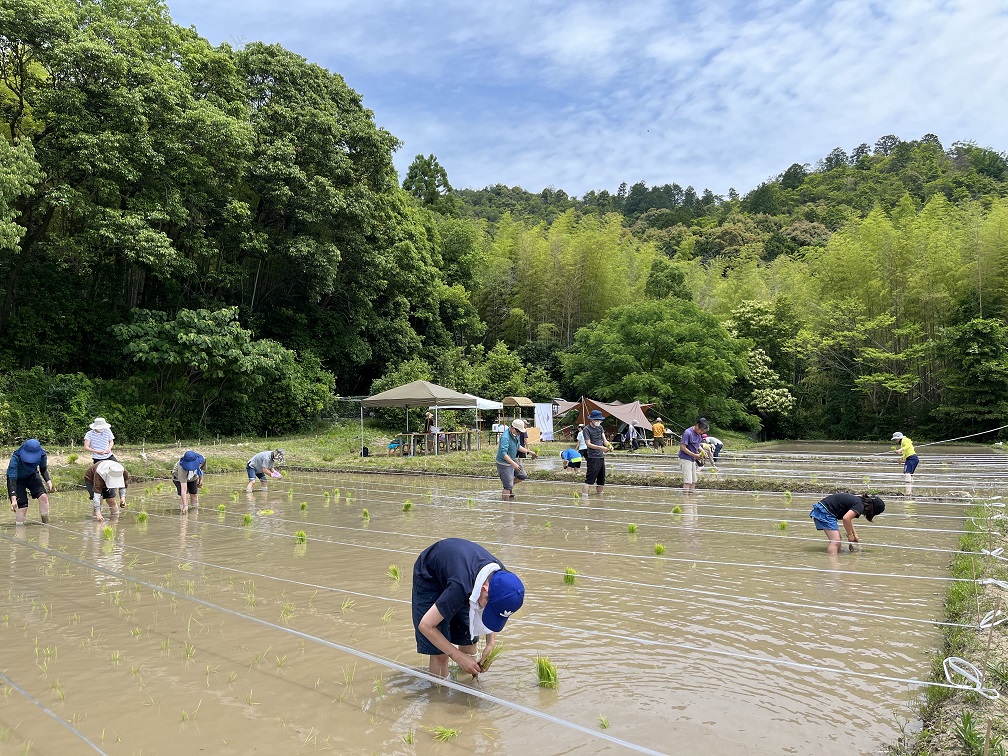 アドプランツコーポレーション